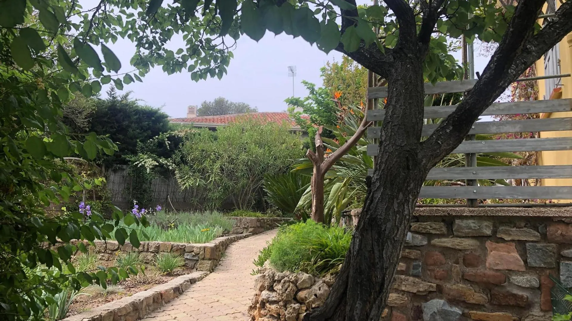 Villa Gecko Saint-Raphaël Appartement